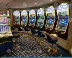 鲸鱼体育电脑免费版