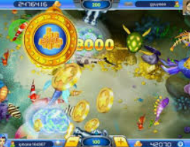 鲸鱼体育2024最新版