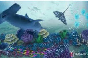 鲸鱼体育免费版