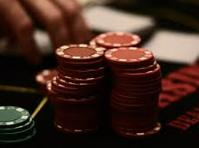 鲸鱼体育电脑免费版