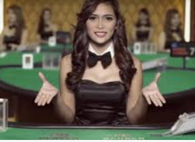 鲸鱼体育电脑免费版